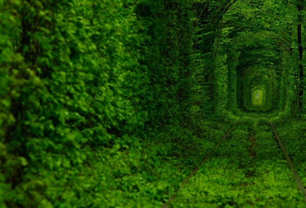 烏克蘭的綠色火車道（二）