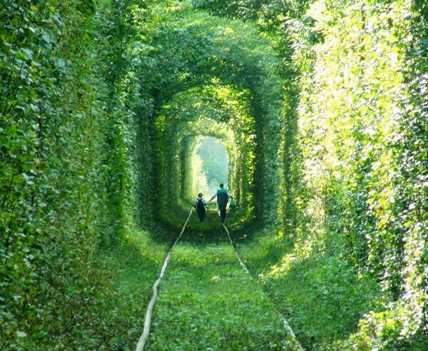 烏克蘭的綠色火車道（三）