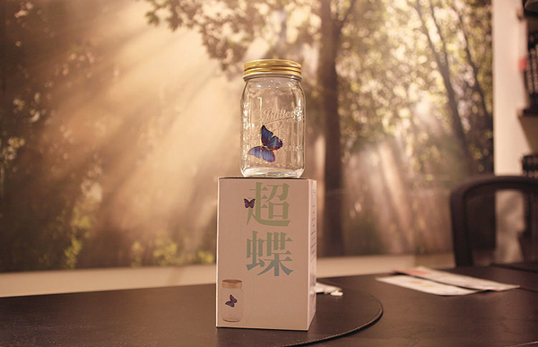 蝴蝶罐（五）