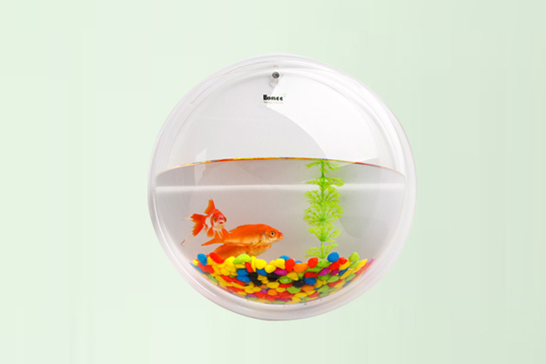 懸掛式魚缸