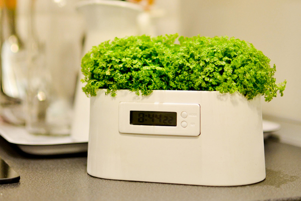 植物發電系統