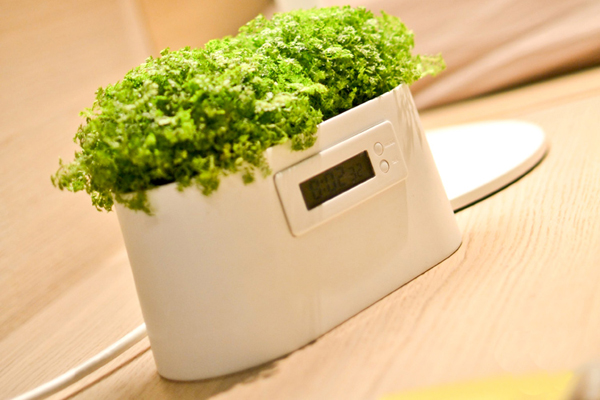 植物發電系統（三）