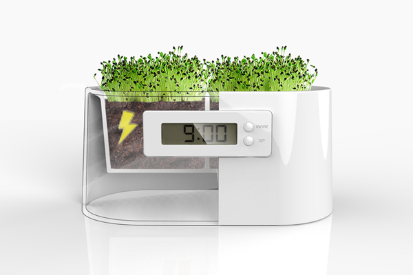 植物發電系統（四）