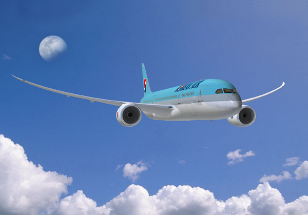 B787 夢想飛機