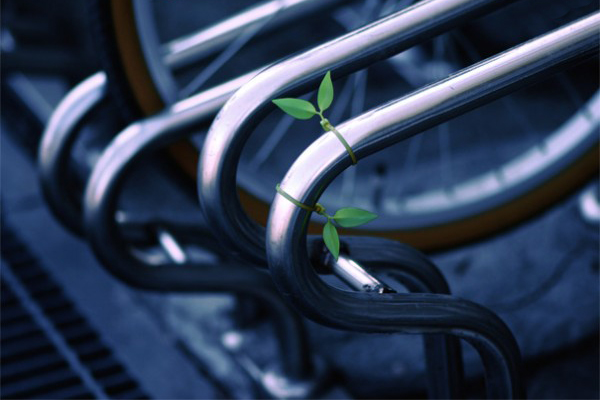 綠葉電線整理帶（二）