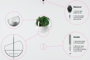 陽臺上懸浮的綠色植物(五) 陽臺上懸浮的綠色植物(五)