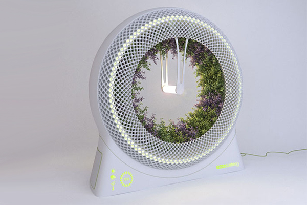 Green Wheel 無土栽培種植（二）