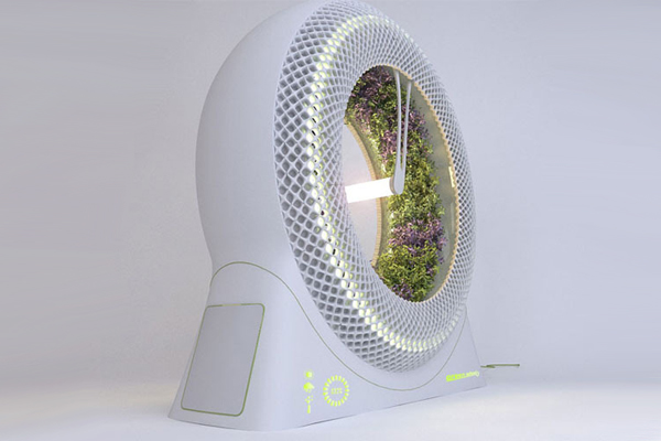 Green Wheel 無土栽培種植（四）