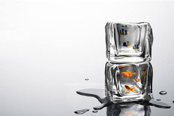 Ice Fishing 冰凍魚缸（二）