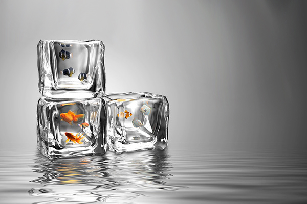 Ice Fishing 冰凍魚缸（三）