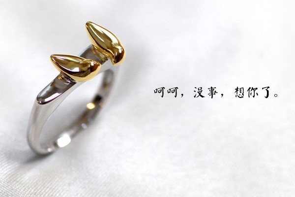 深情對唱小情歌情侶戒指（四）