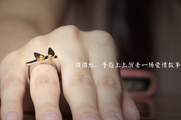 深情對唱小情歌情侶戒指（五）