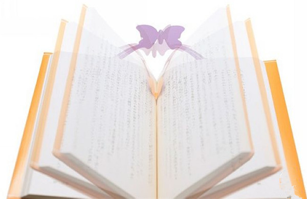 新奇漂亮的蝴蝶書套（四）