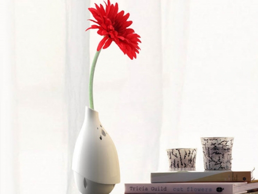 玉凈瓶?jī)艋諝馄鳎ㄋ模? src= 玉凈瓶?jī)艋諝馄鳎ㄋ模? width=