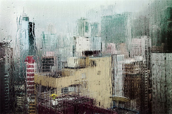 動人的雨中香港（七）