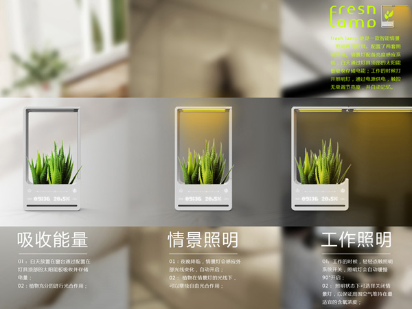 Fresh Lamp 帶植物的燈具（三）