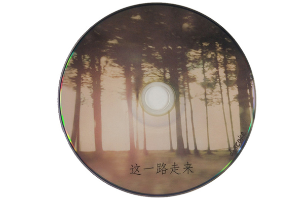 DIY個性小蝶（四）
