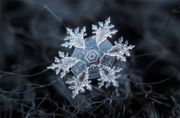 絕美的微距雪花