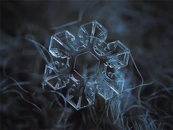 絕美的微距雪花（二）