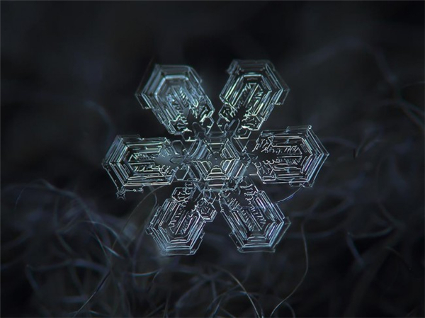 絕美的微距雪花（七）