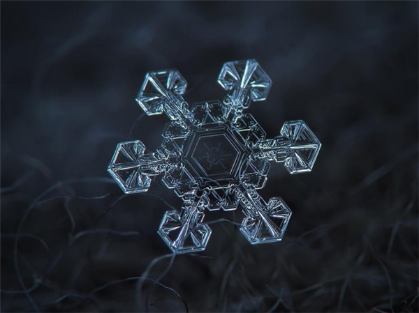 絕美的微距雪花（九）
