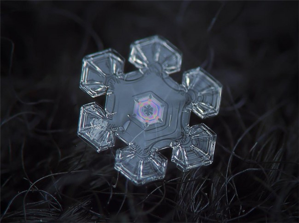 絕美的微距雪花（十一）