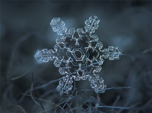 絕美的微距雪花（十四）
