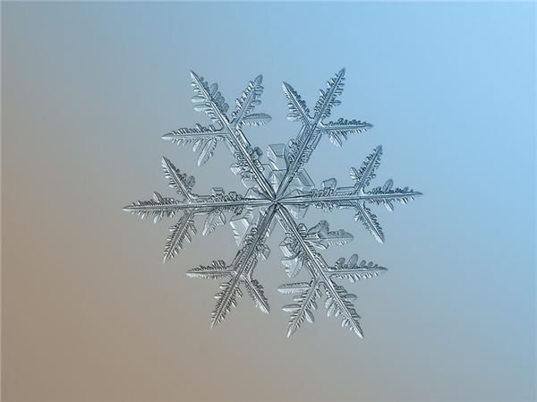 絕美的微距雪花（十五）