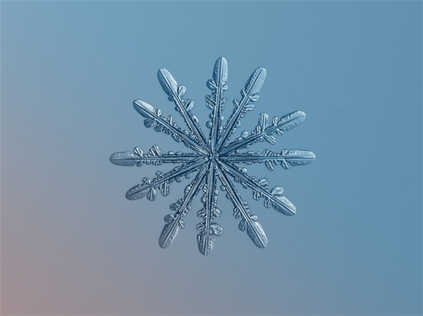 絕美的微距雪花（十六）
