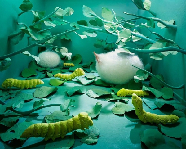 李智英驚人攝影作品