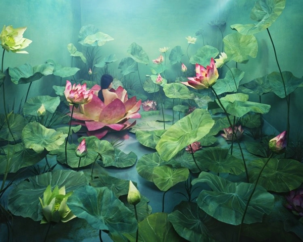 李智英驚人攝影作品（十四）