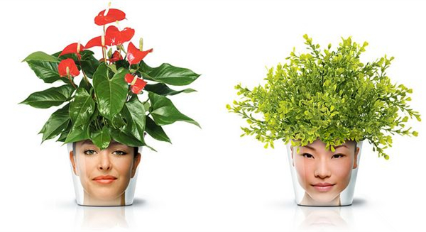 非常搞笑的頭像花盆