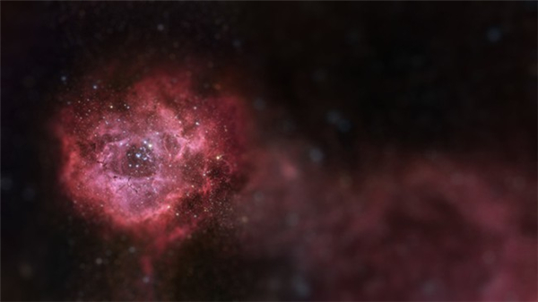 不一樣的微觀宇宙（二）