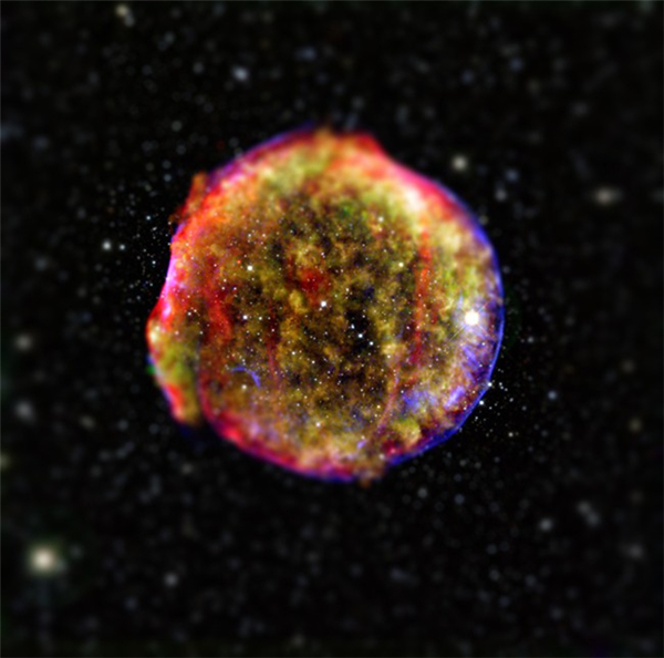 不一樣的微觀宇宙（四）