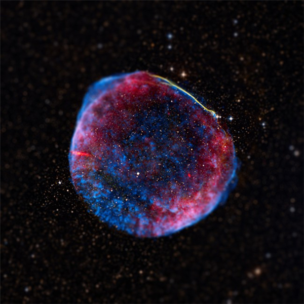 不一樣的微觀宇宙（五）