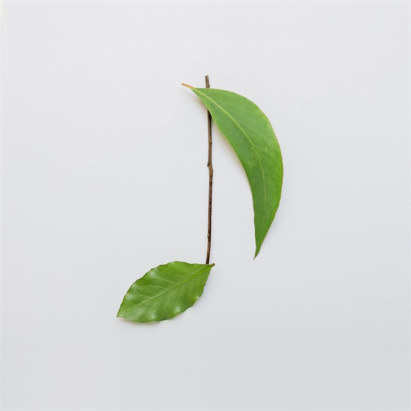 生活有多有趣你造么(七) 生活有多有趣你造么(七)