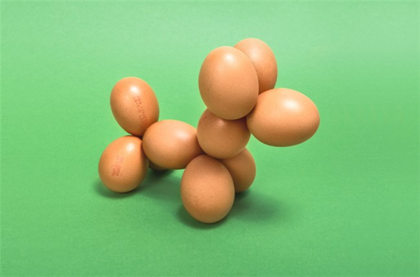 生活有多有趣你造么(十三) 生活有多有趣你造么(十三)