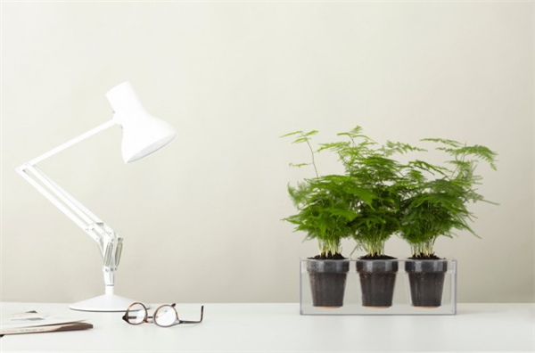 透明漂亮的花盆設計（二）