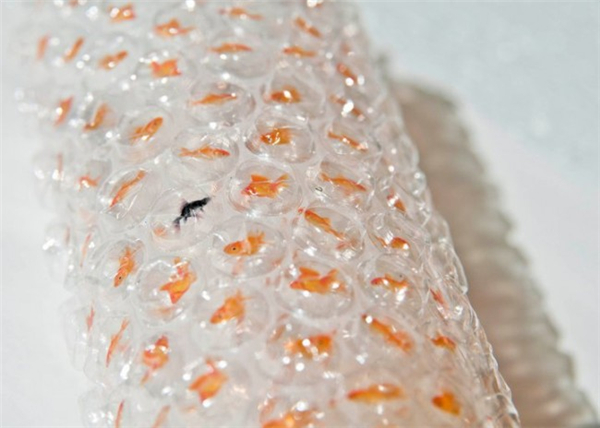 唯美的金魚氣泡膜