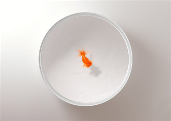 有趣的樹脂金魚椅