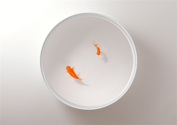 有趣的樹脂金魚椅（二）