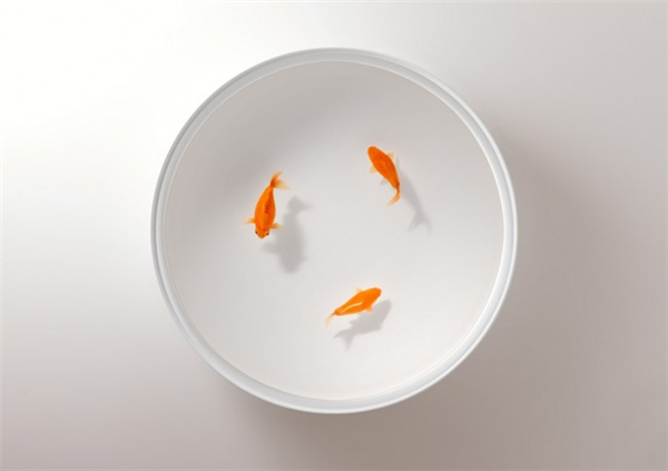 有趣的樹脂金魚椅（三）