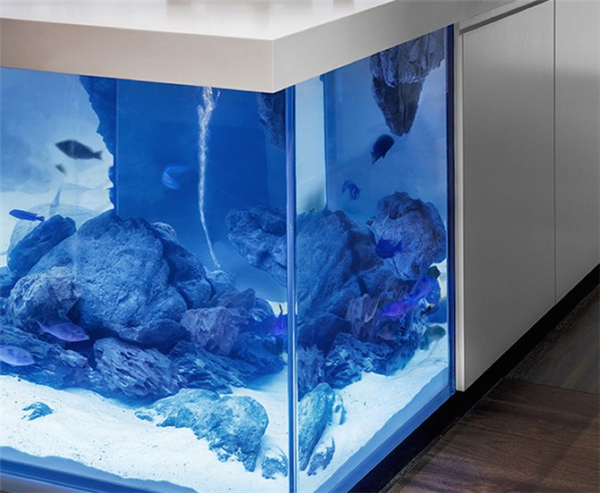 現代感十足的水族箱廚房（三）