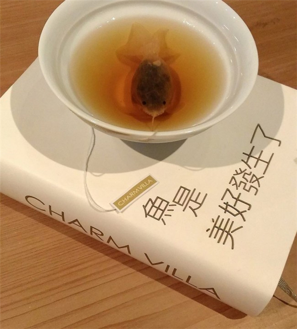 很有意思的金魚茶包（七）