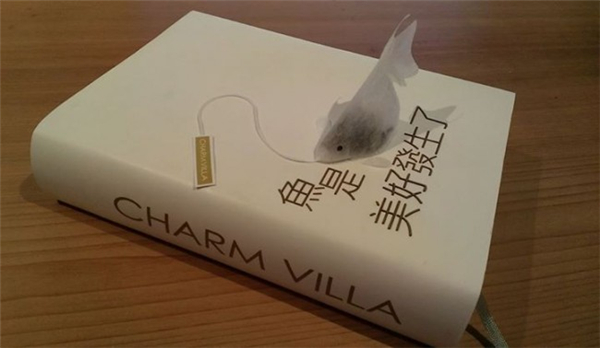 很有意思的金魚茶包（八）