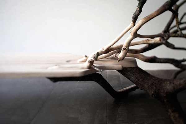 Fallen Tree 樹狀長椅（三）