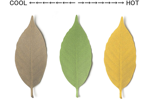 Leaf Thermometer 溫度計（三）